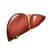 liver2